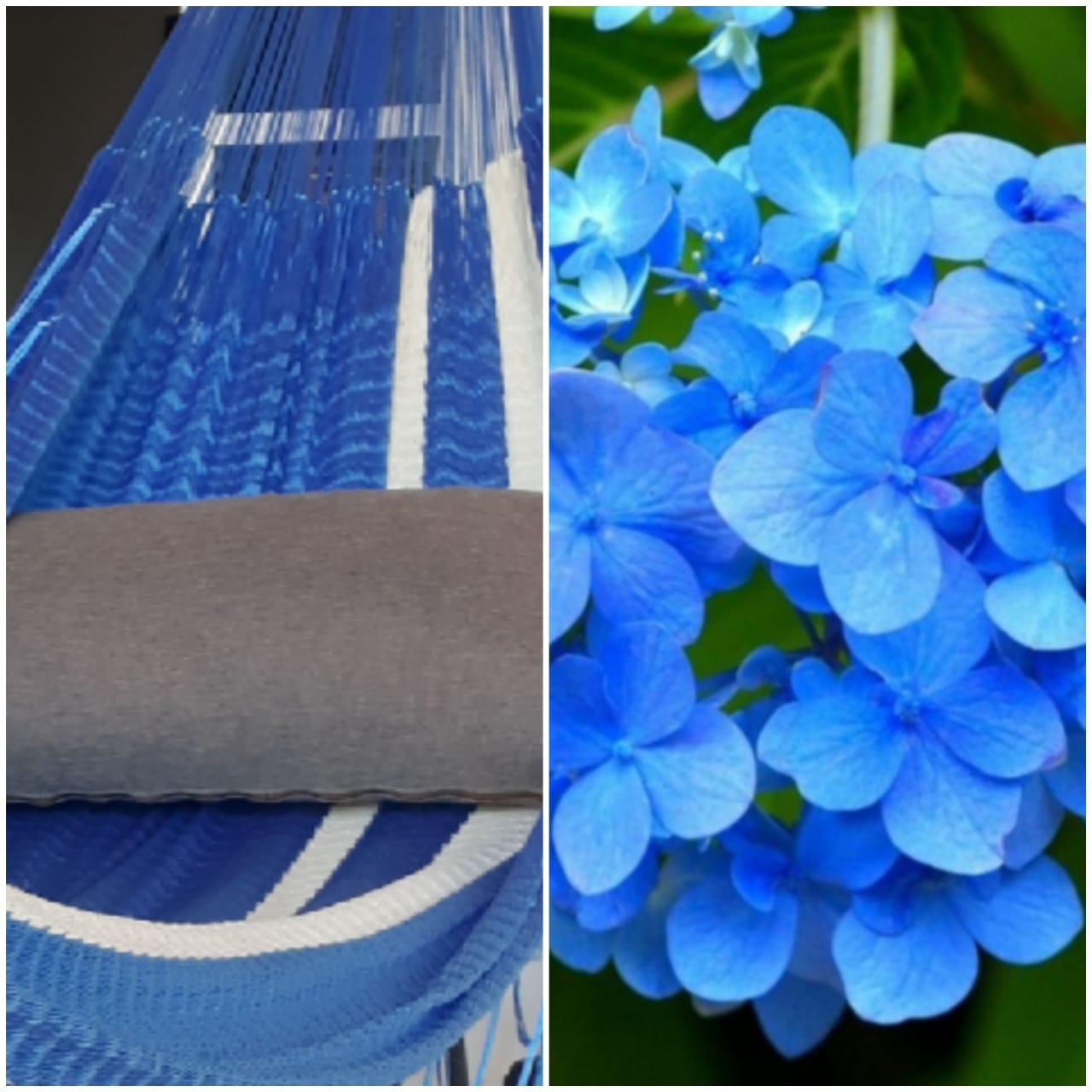 Hamaca Azul Hortensia Guixhe